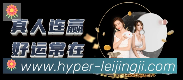企业概况
